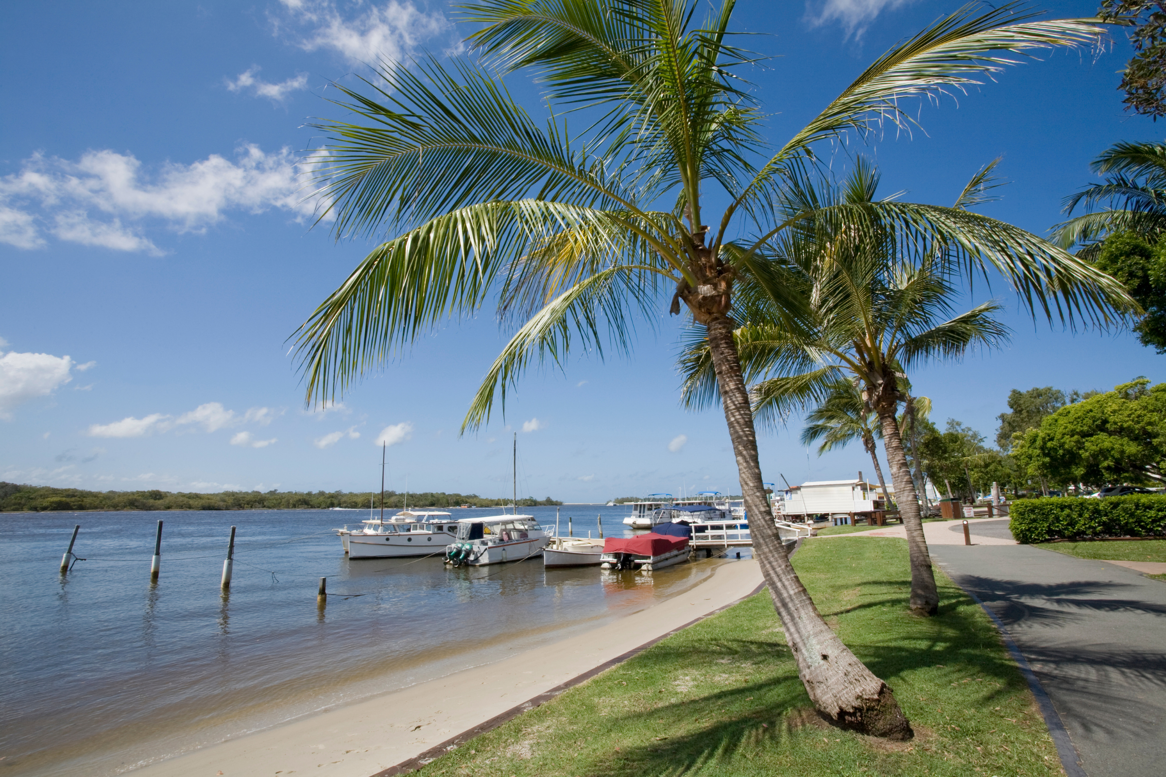 noosa, queensland (3).webp
